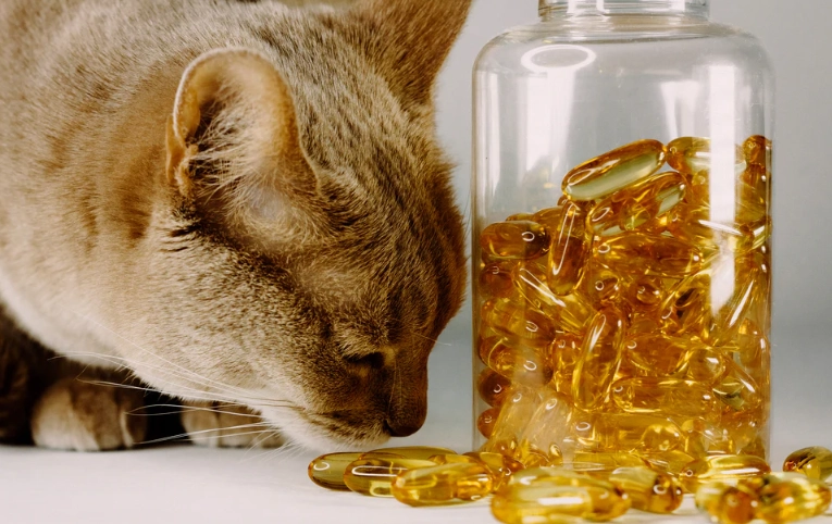 omega 3 for cats omega 3 for cats