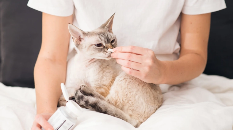 omega 3 for cats omega 3 for cats