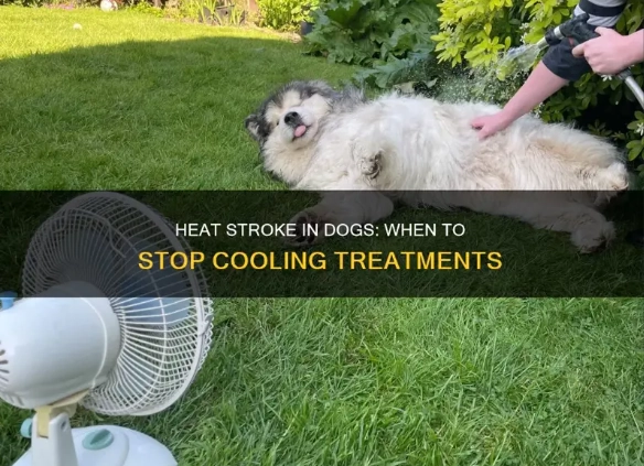 heat stroke in dogs treatment at home