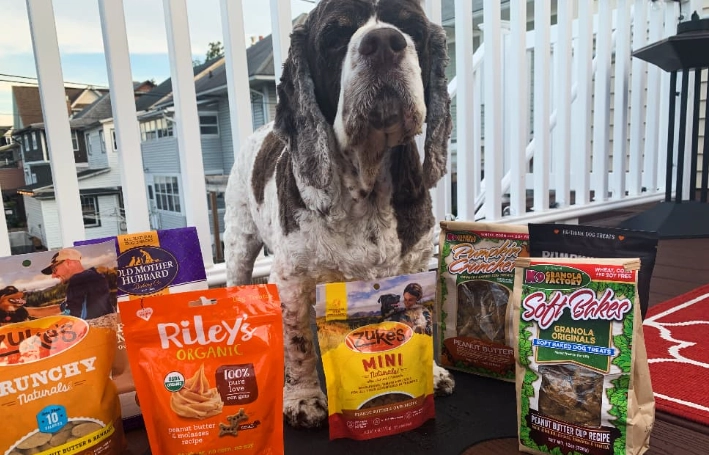 best high value dog treats