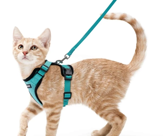 best cat harness and leash best cat harness and leash