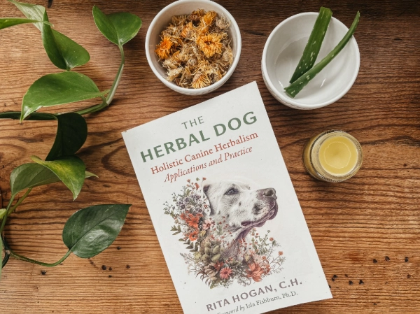 safe herbs for dogs