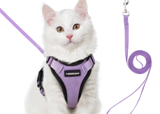 best cat harness and leash best cat harness and leash
