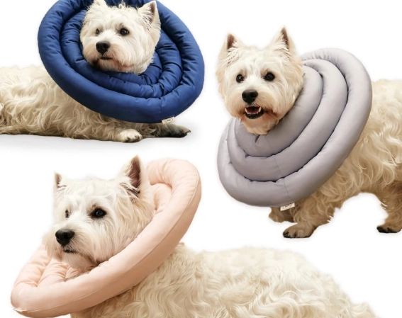 soft dog cone