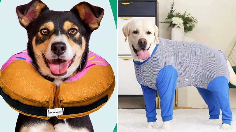 recovery collar for dogs