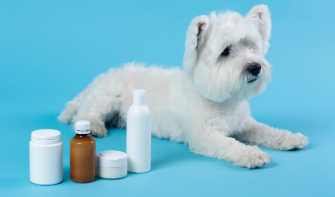 hydrogen peroxide for dogs wounds hydrogen peroxide for dogs wounds