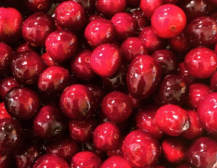 are cranberries safe for cats