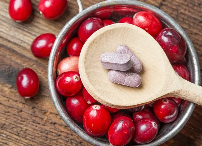 cat urinary tract health cat urinary tract health