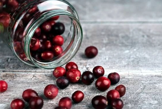 cranberry treats for cats