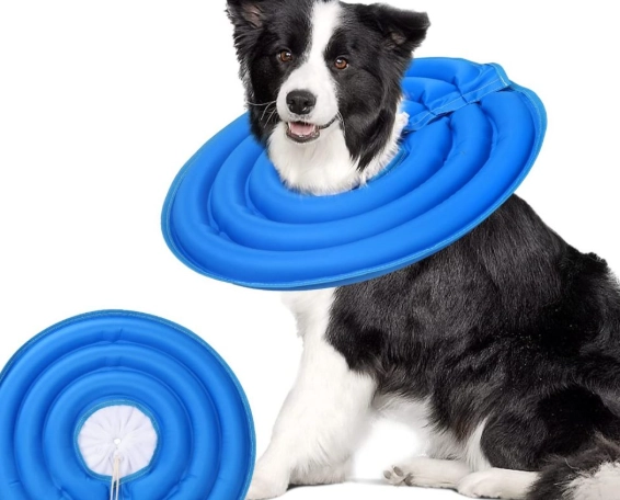 best dog cone alternative