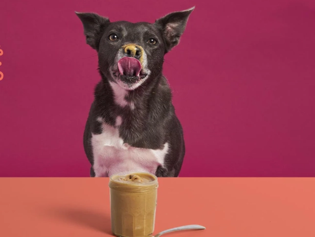 dogs with diarrhea peanut butter