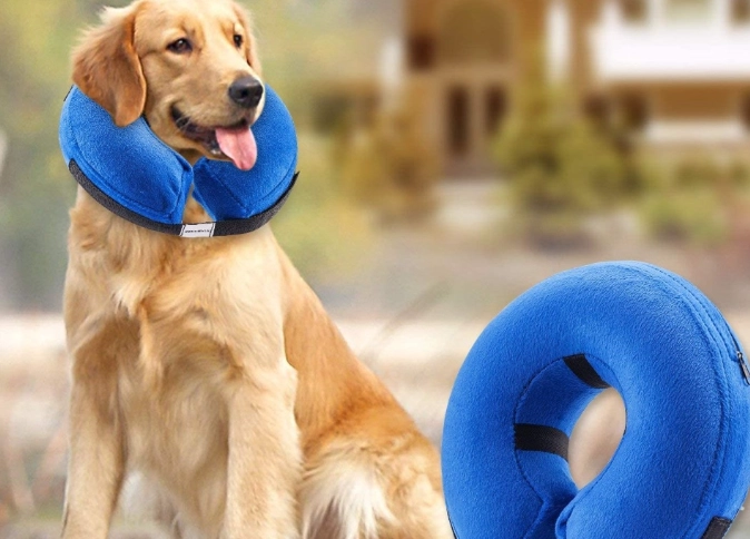 dog cone alternatives