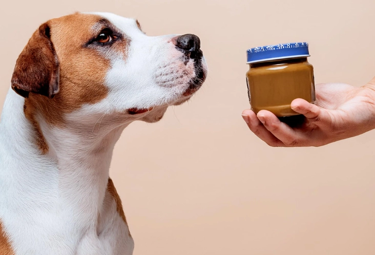 can dogs have peanut butter diarrhea