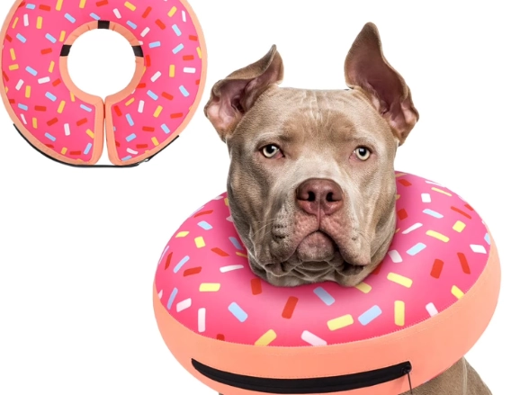 soft cone alternative for dogs