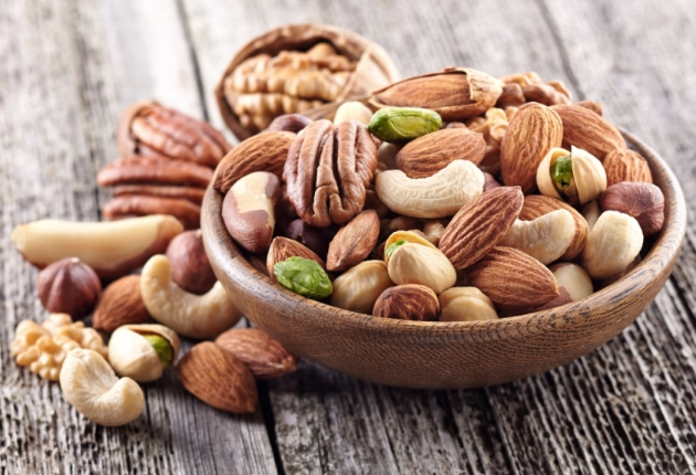 dog safe nuts dog safe nuts