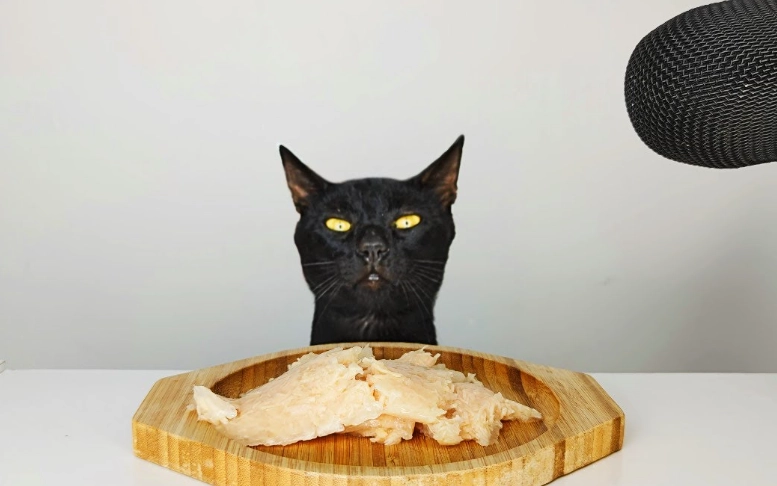 how to dilute chicken broth for cats