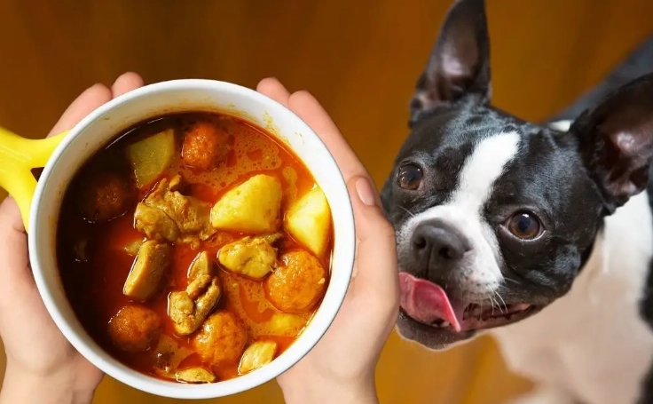 dog safe herbs dog safe herbs