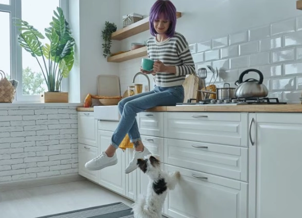 can dogs eat peanuts