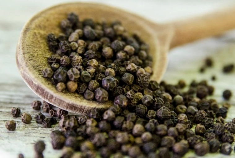 toxic seasonings for dogs toxic seasonings for dogs