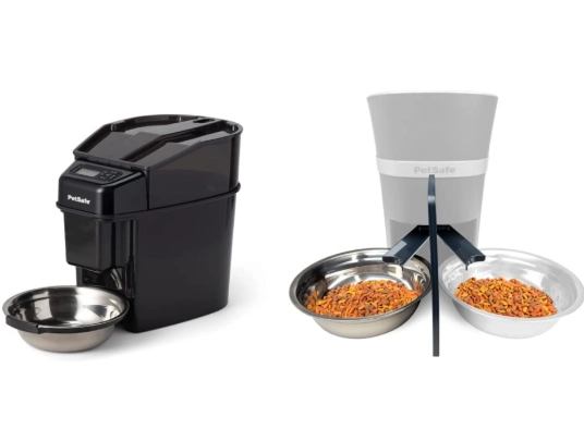 cat daily food amount