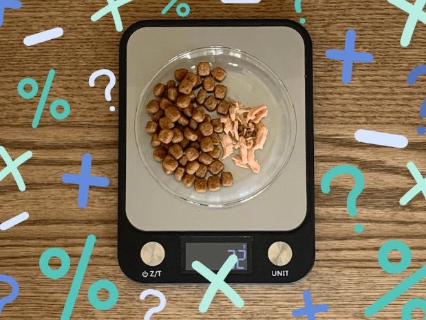 cat daily food amount