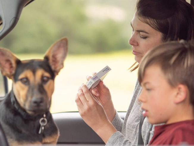 prevent dog car sickness prevent dog car sickness