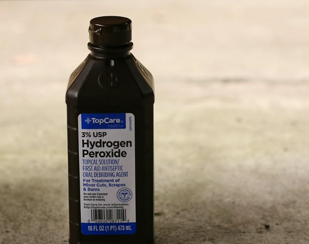 dog wound care at home