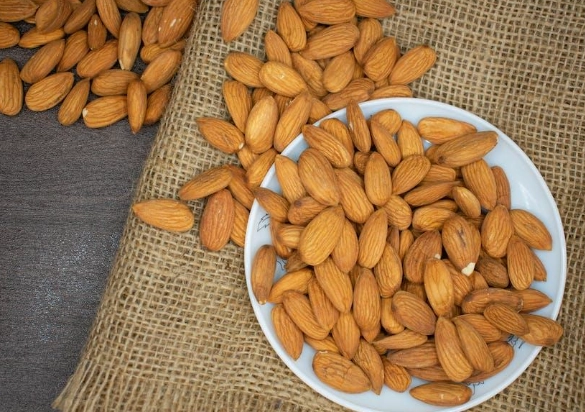 are nuts safe for dogs are nuts safe for dogs