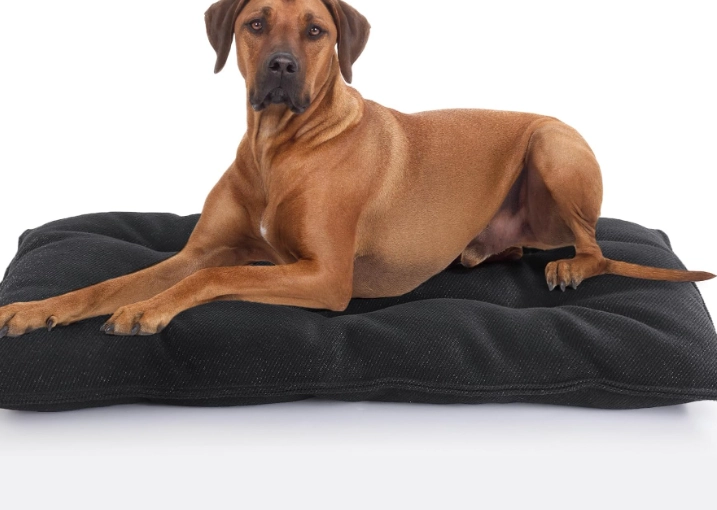 dog crate pad dog crate pad