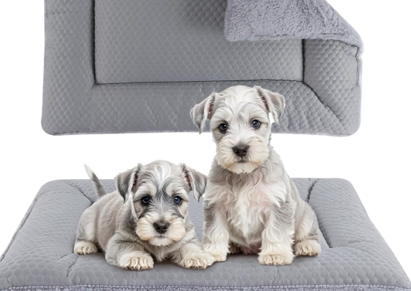 Dog Crate Padding: The Ultimate Guide to Comfort & Safety