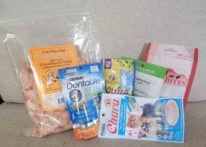 how to give treats to kittens how to give treats to kittens