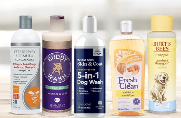 Vet Recommended Dog Shampoo: The Complete Guide for Healthy Skin