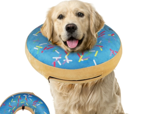 Dog Donut Cone: The Ultimate Guide for Happy and Calm Dogs