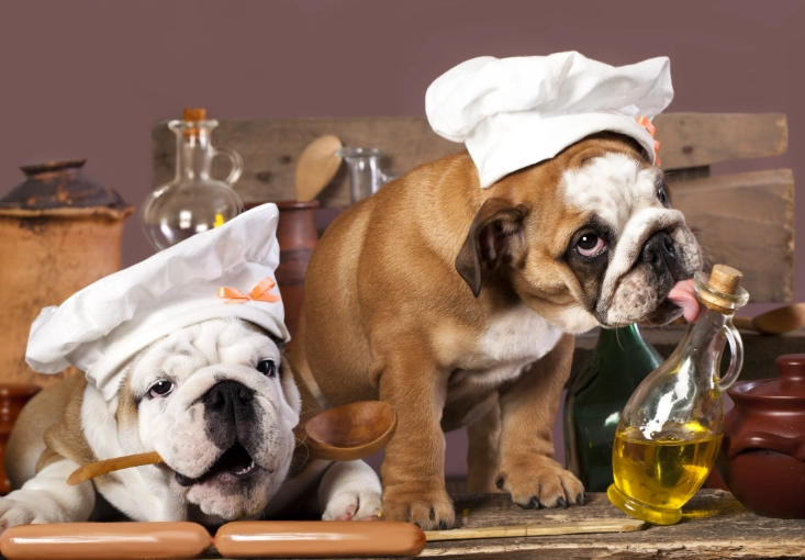 safe seasonings for dogs safe seasonings for dogs