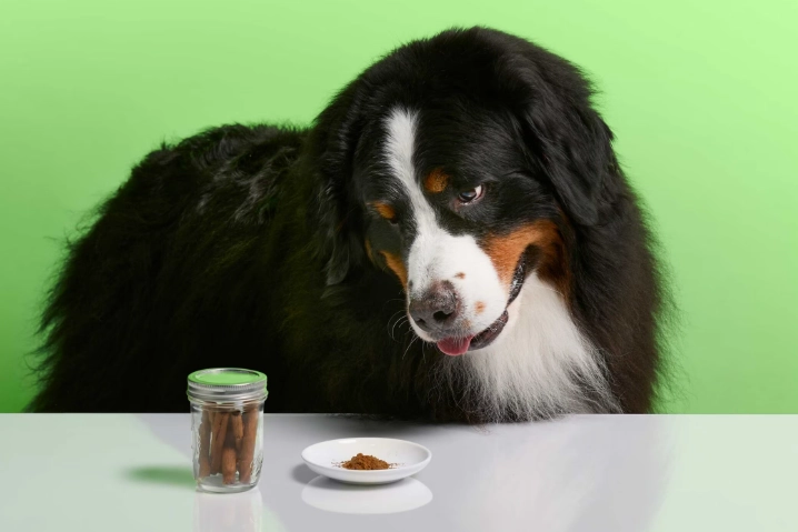 dog food toppers dog food toppers