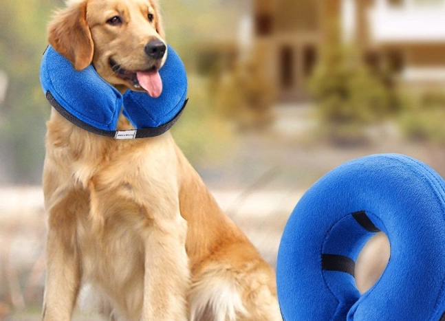 soft recovery collar soft recovery collar