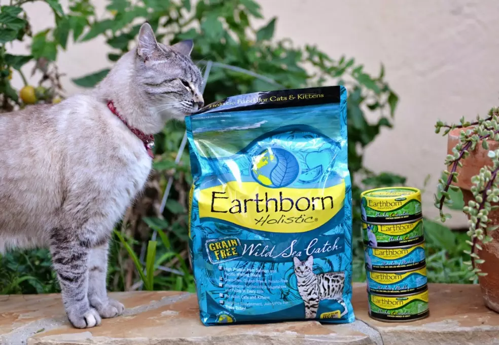 dry food for cats