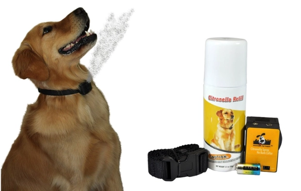 dog safe bug spray dog safe bug spray