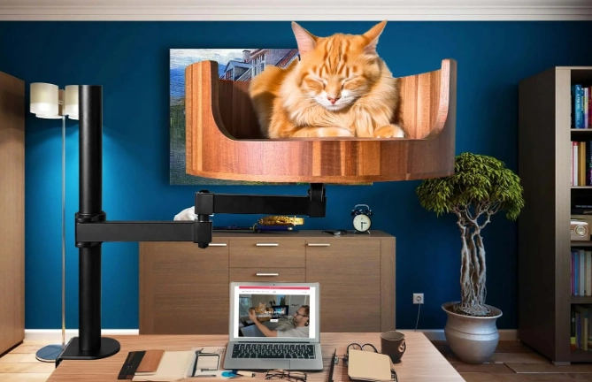 dog shampoo vs cat shampoo dog shampoo vs cat shampoo