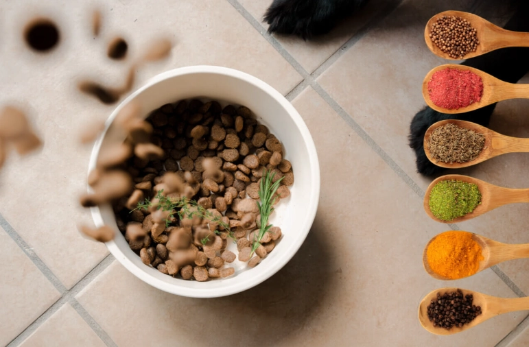 The Ultimate Guide to Seasoning for Dogs: Safe & Tasty Options
