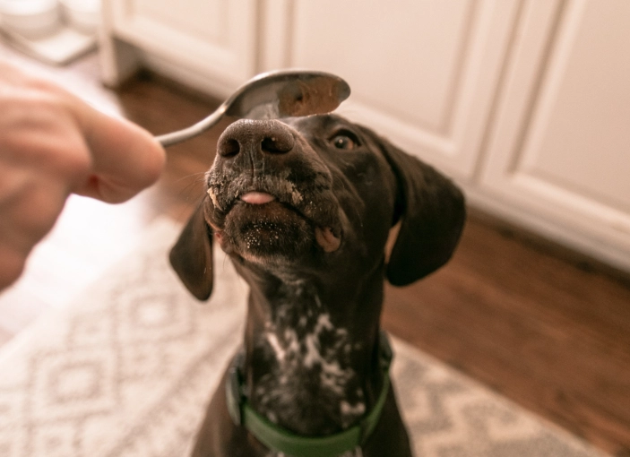 peanut butter for dogs