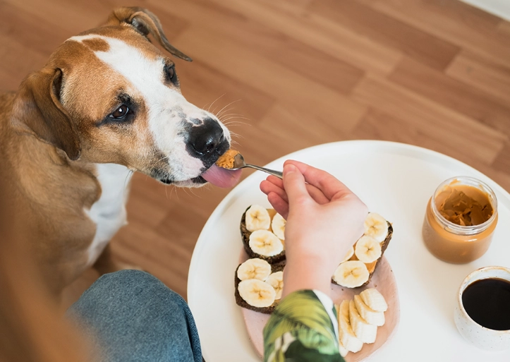 peanut butter for dogs