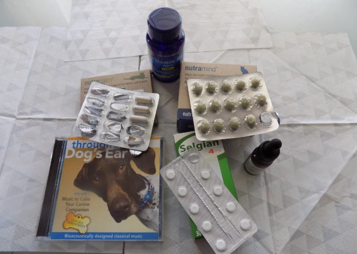 dog dementia medication