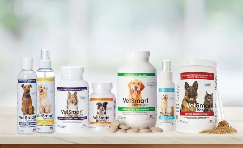 canine dementia treatment