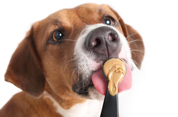 xylitol in peanut butter xylitol in peanut butter