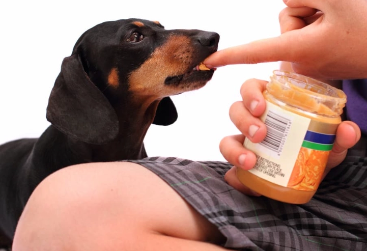 peanut butter for dogs peanut butter for dogs