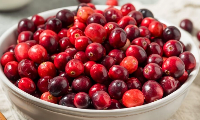 are cranberries safe for cats
