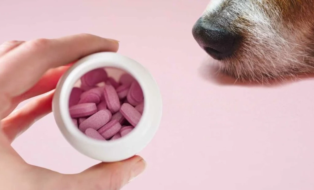 can i give my dog benadryl