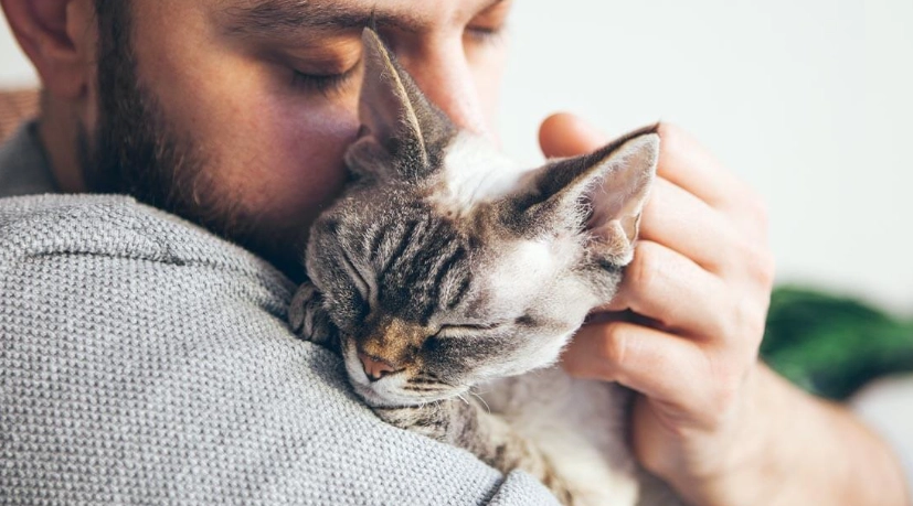 cat communication sounds cat communication sounds