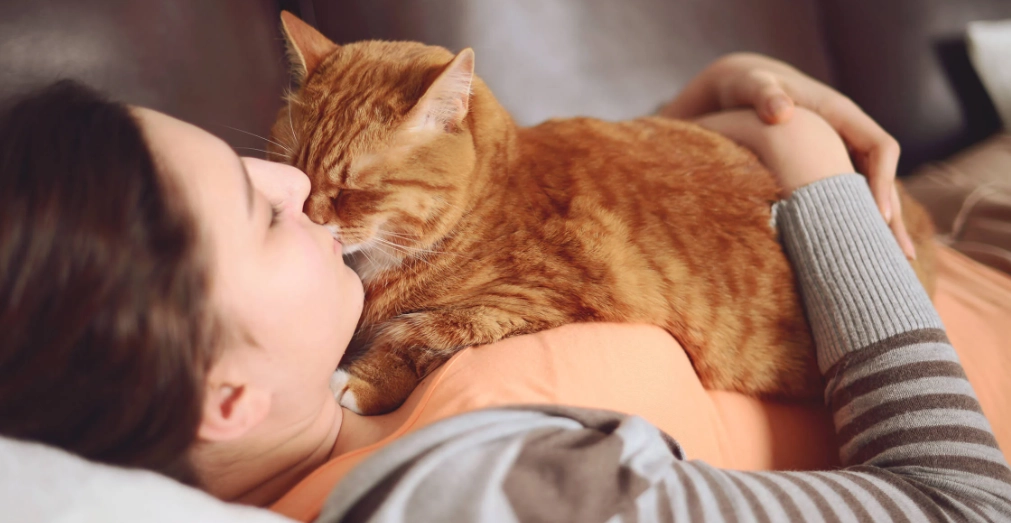 Why Cats Knead at Night: 7 Reasons & How to Respond